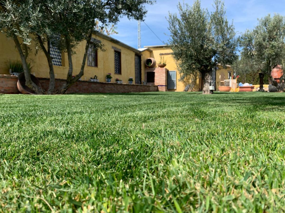 Гостевой дом Cortijo Bustamante Баса Экстерьер фото